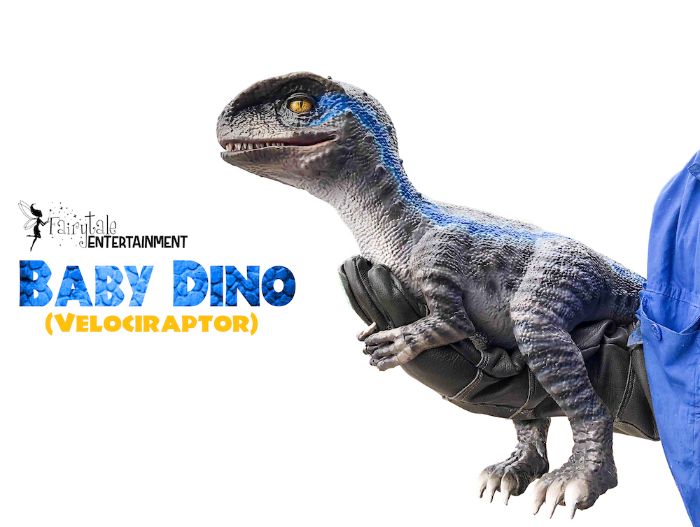 hire a baby raptor for a kids dinosaur party in detroit and chicago